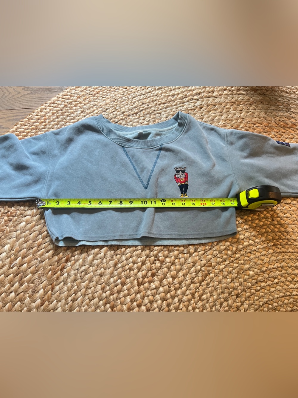 The Fly Hippo Collection Blue Cropped Sweatshirt Size Small - Picture 7 of 9
